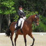 Dressage Days XVIII