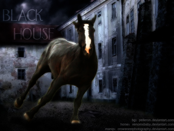 Black House