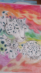 Colorful snowleopard~