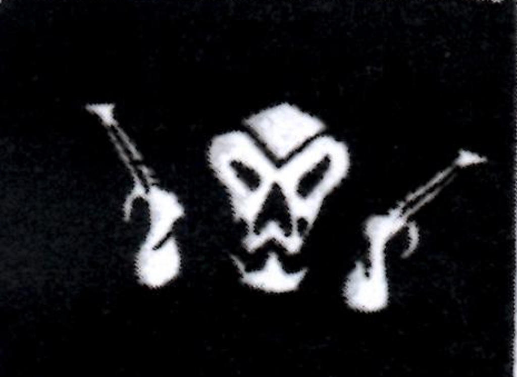 Rogue Flag by SpotEtal on DeviantArt