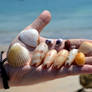 My treasures from Indian Ocean, Bali, Indonesia