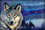 Wolf Christmas card by Shelter85