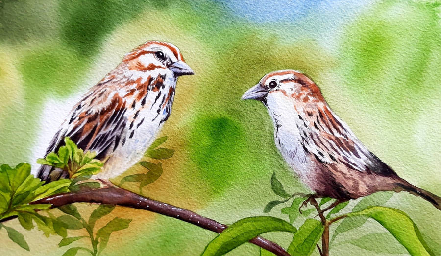 Sparrows by Shelter85