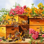Bees for my brother
