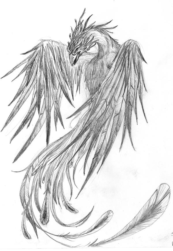 Pheonix Sketch