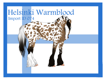 The Helsinki Warmblood Import ID 074#