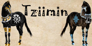 Tziimin group icon