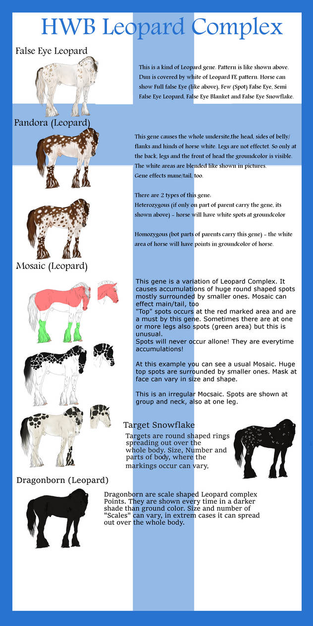 The Helsinki Warmblood - Leopard Mutations by LiaLithiumTM on DeviantArt