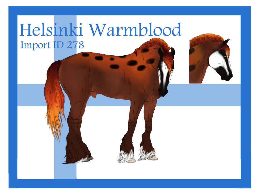 The Helsinki Warmblood Import ID 278#