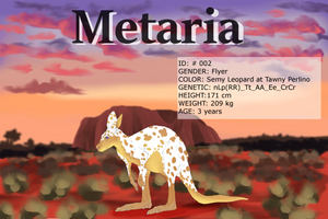 Metaria ID #002