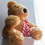 Christmas Present. Teddy Bear