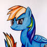 Rainbow Dash Coloring Pencil Drawing -mlp-