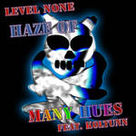 For Level None: Haze of Many Hues CD Cover by PrimalMoron