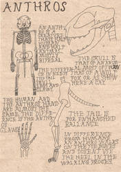 Anthro anatomi studie