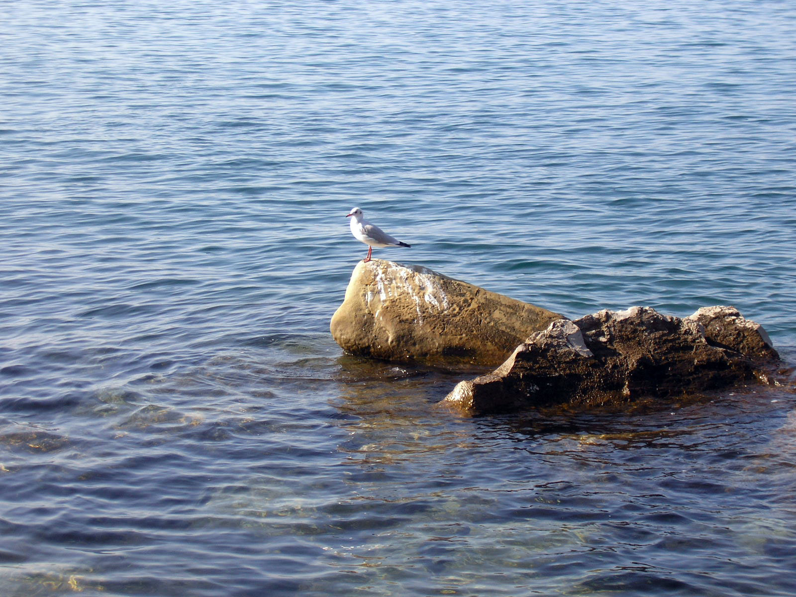 Sea + Rocks XIV