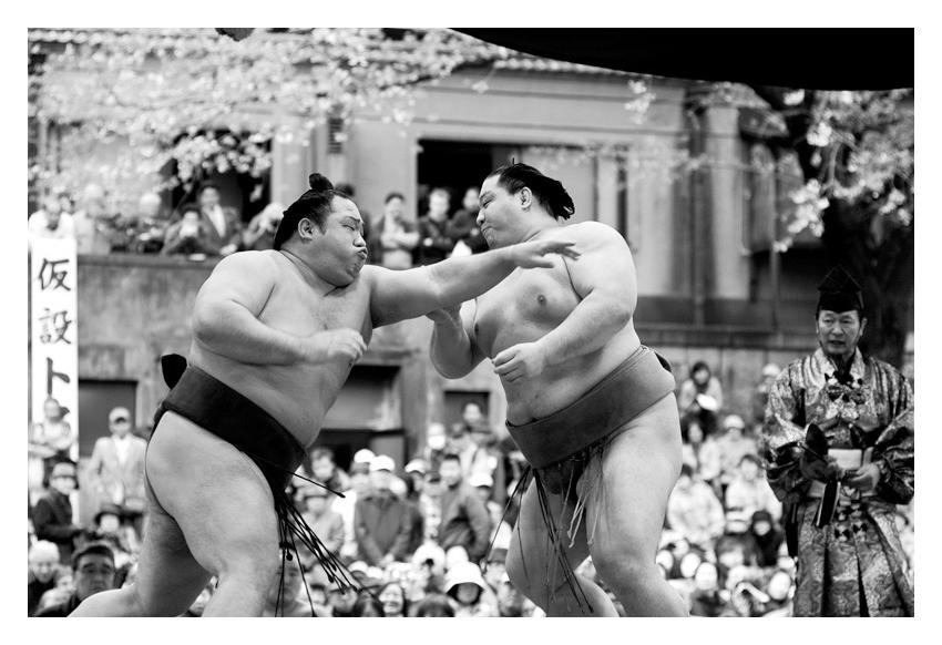 Buff Sumo _sumo battle by bule on DeviantArt