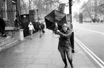 london winds by bule