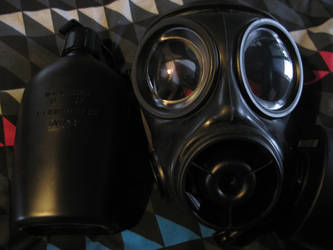 My S10 gas mask and matching drinking canteen