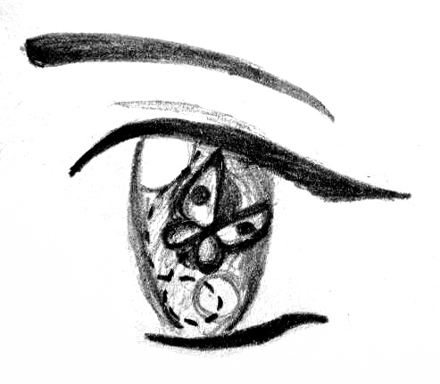 an eye