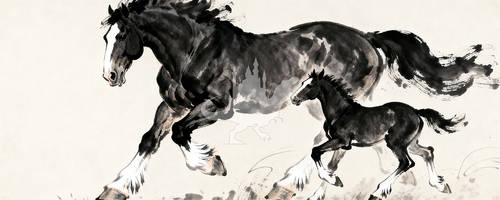 Neighton Neighton the Horse PNG 3 by Collegeman1998 on DeviantArt