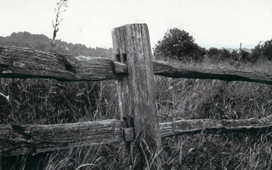 Old Fence