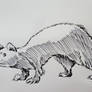 Natsu Sensei's Ferret