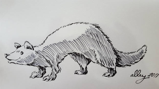 Natsu Sensei's Ferret