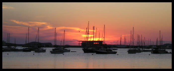 Dockside Sun