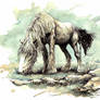 shirehorse