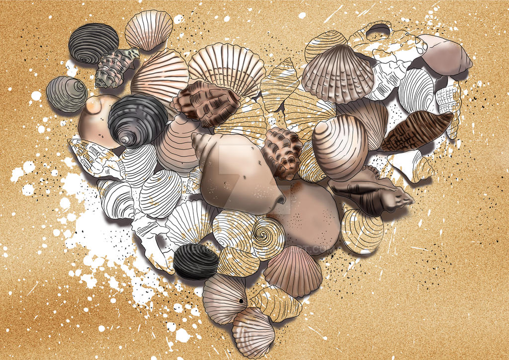 shell in heart by kemenyan on DeviantArt