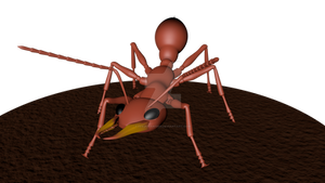 Bull Ant Render 01