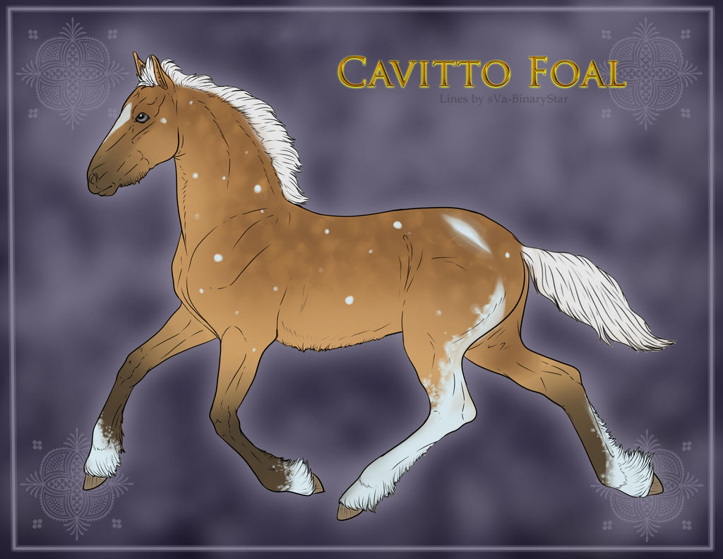 Cavitto Foal Design - ID 1134