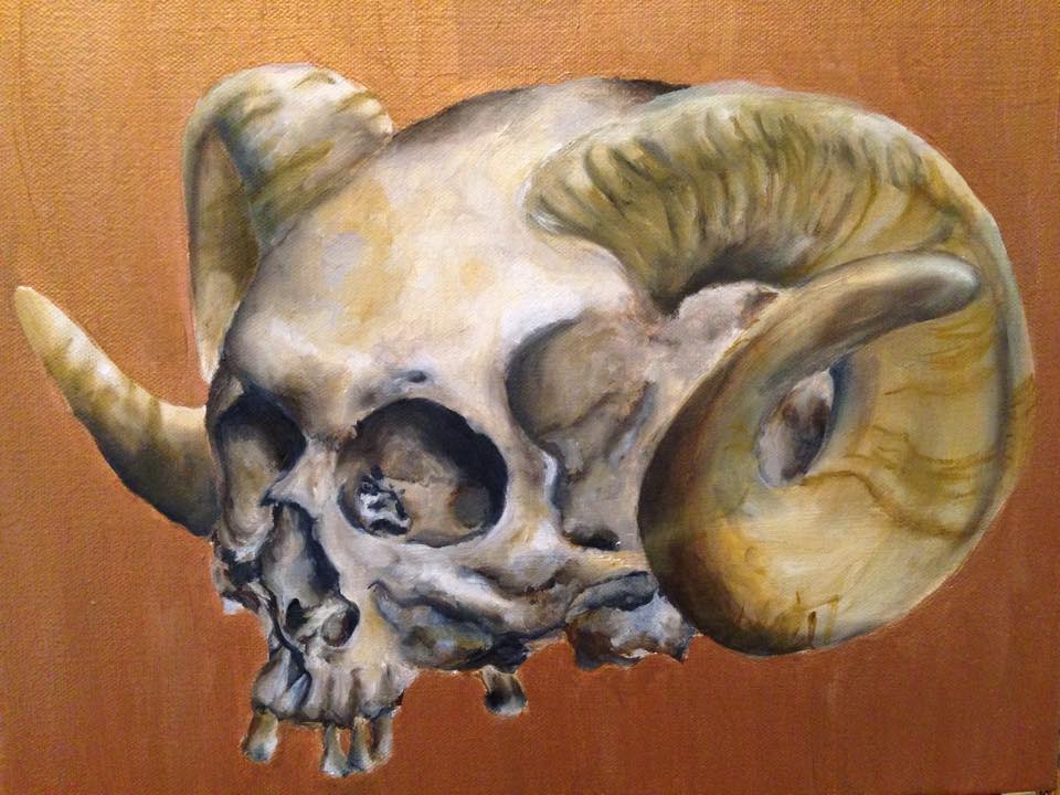 Skull + Ram Horns Study