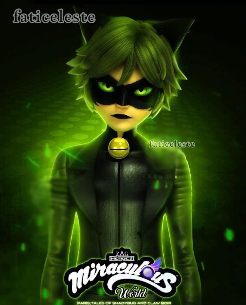 claw noir miraculous shadybug multiverse by faticeleste on DeviantArt