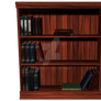 Bookshelf1