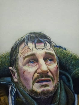 Liam Neeson The Grey Final