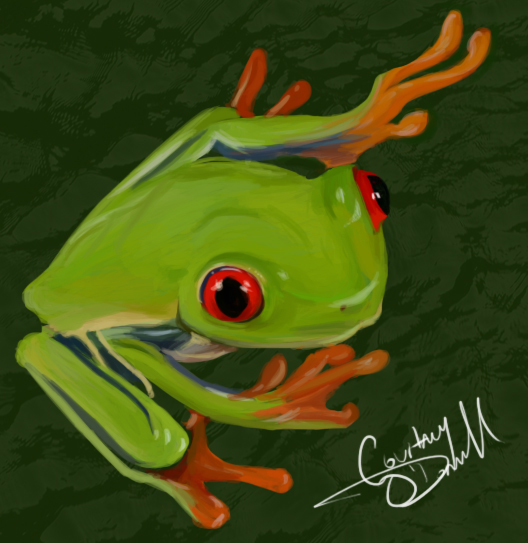 Red-Eye Tree Frog