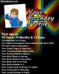 Holly's Birthday Profile by RiseJackFrost