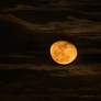 The orange moon