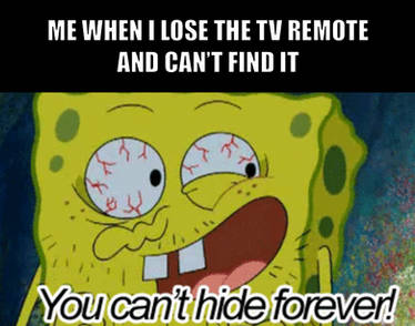 Lost the remote