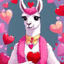 Love llama