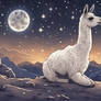 Llama in the Limelight