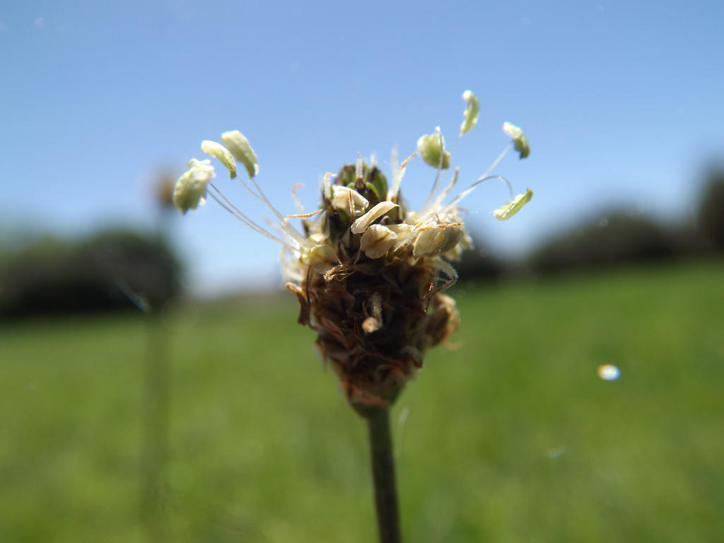 Twack by Madi-Gascarr on DeviantArt