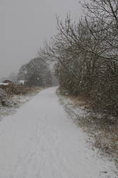 Snowy old rail way lines