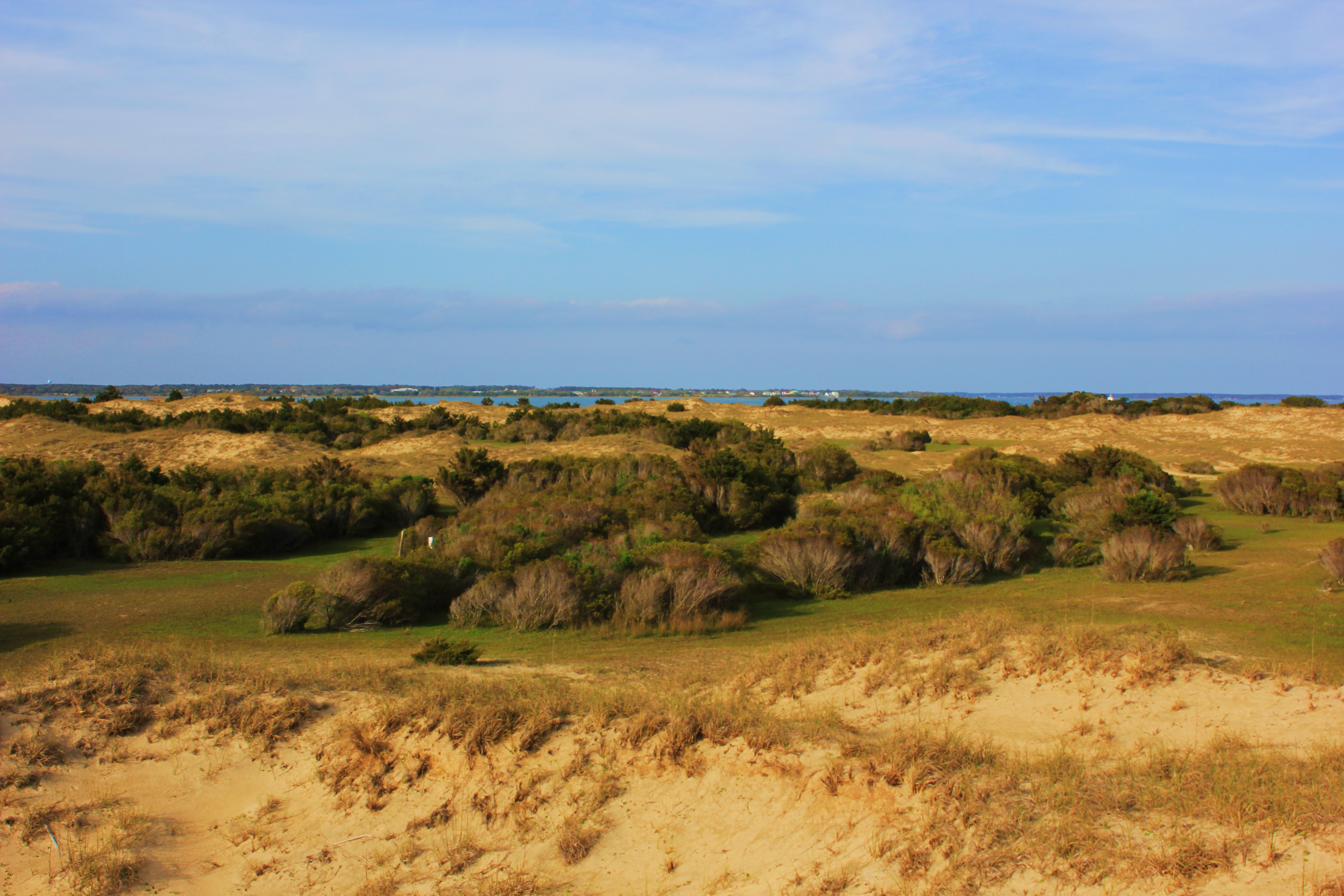 Shackleford island