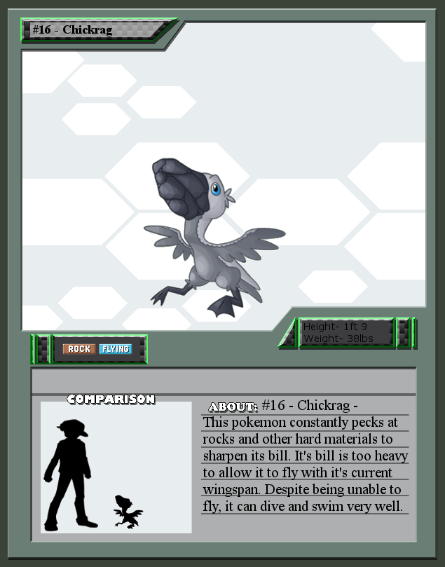 #16 - Chickrag