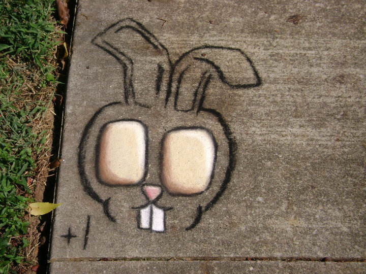 MinimalistChalkBunny