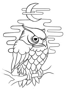 Owl