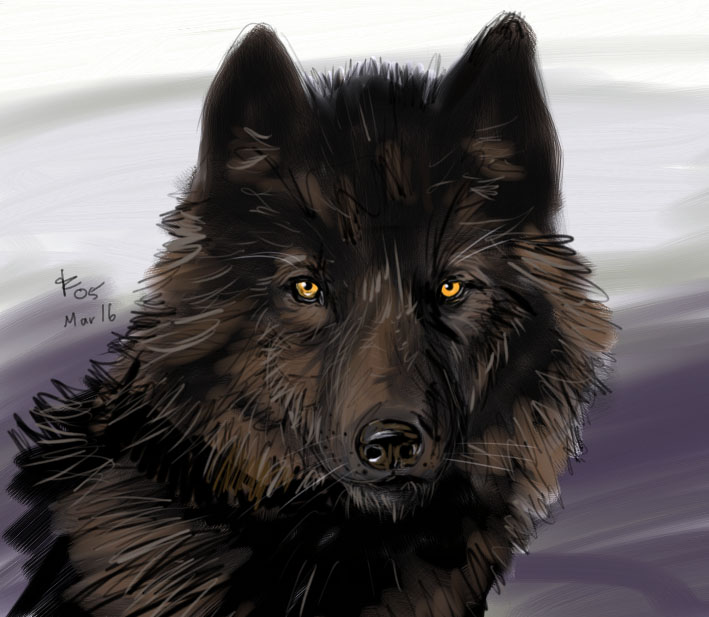 Black Wolf