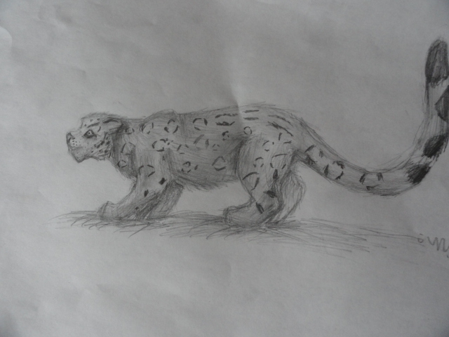 Snow Leopard